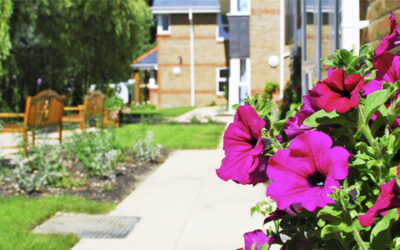Well Deserved Celebration at Claremont Lodge Care Home